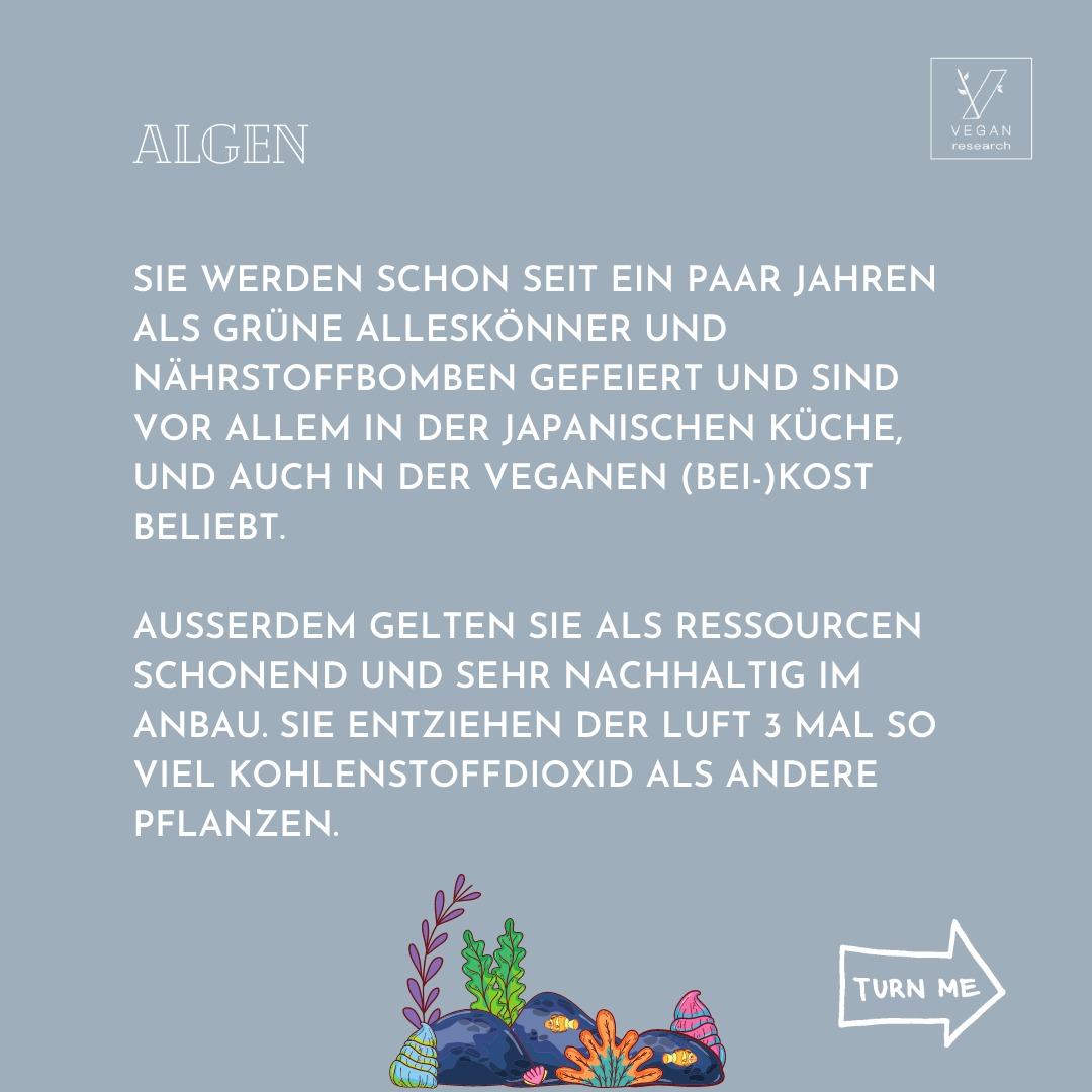 Algen 2