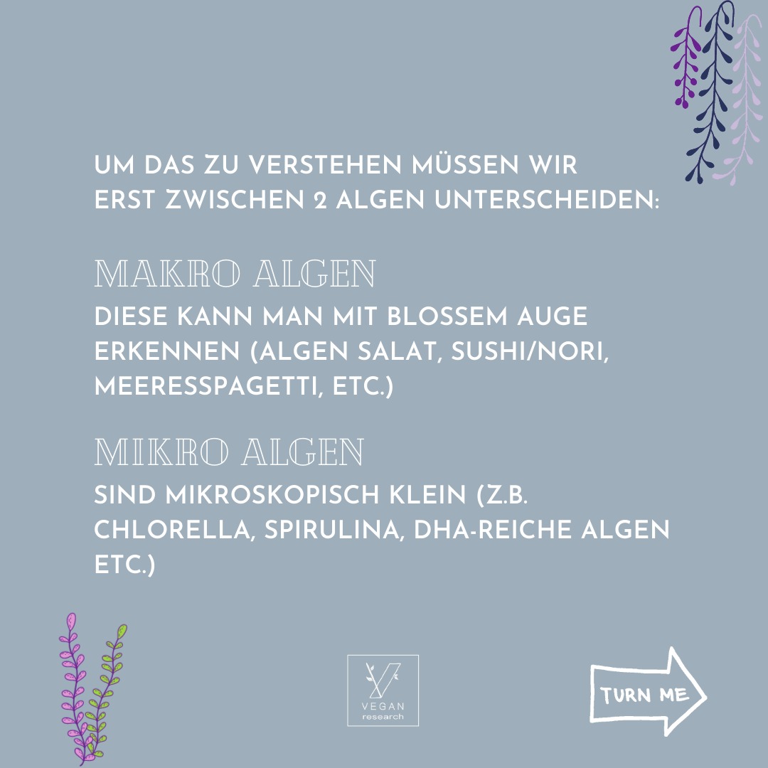 Algen 4