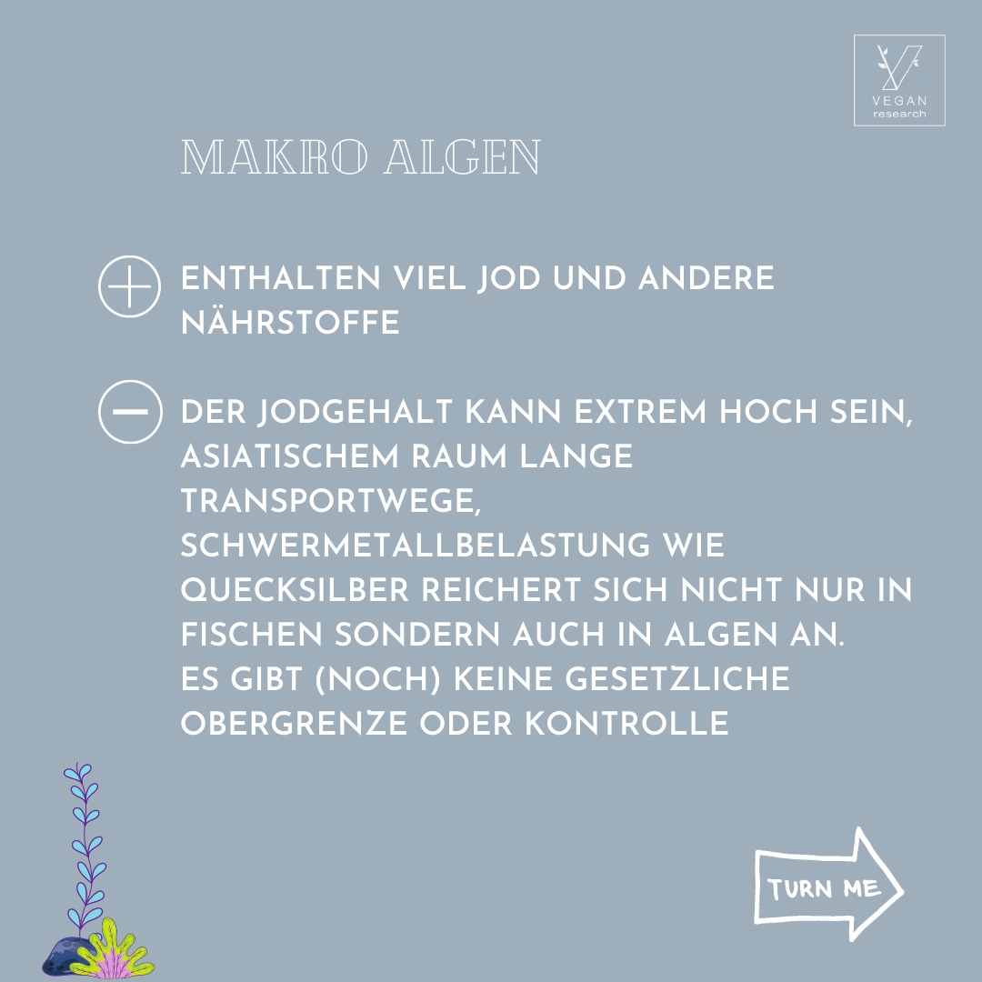 Algen 5
