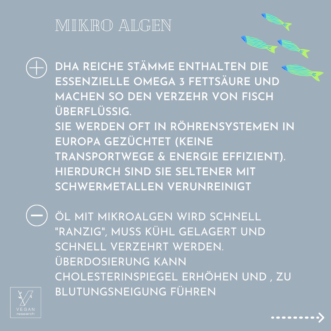 Algen 6