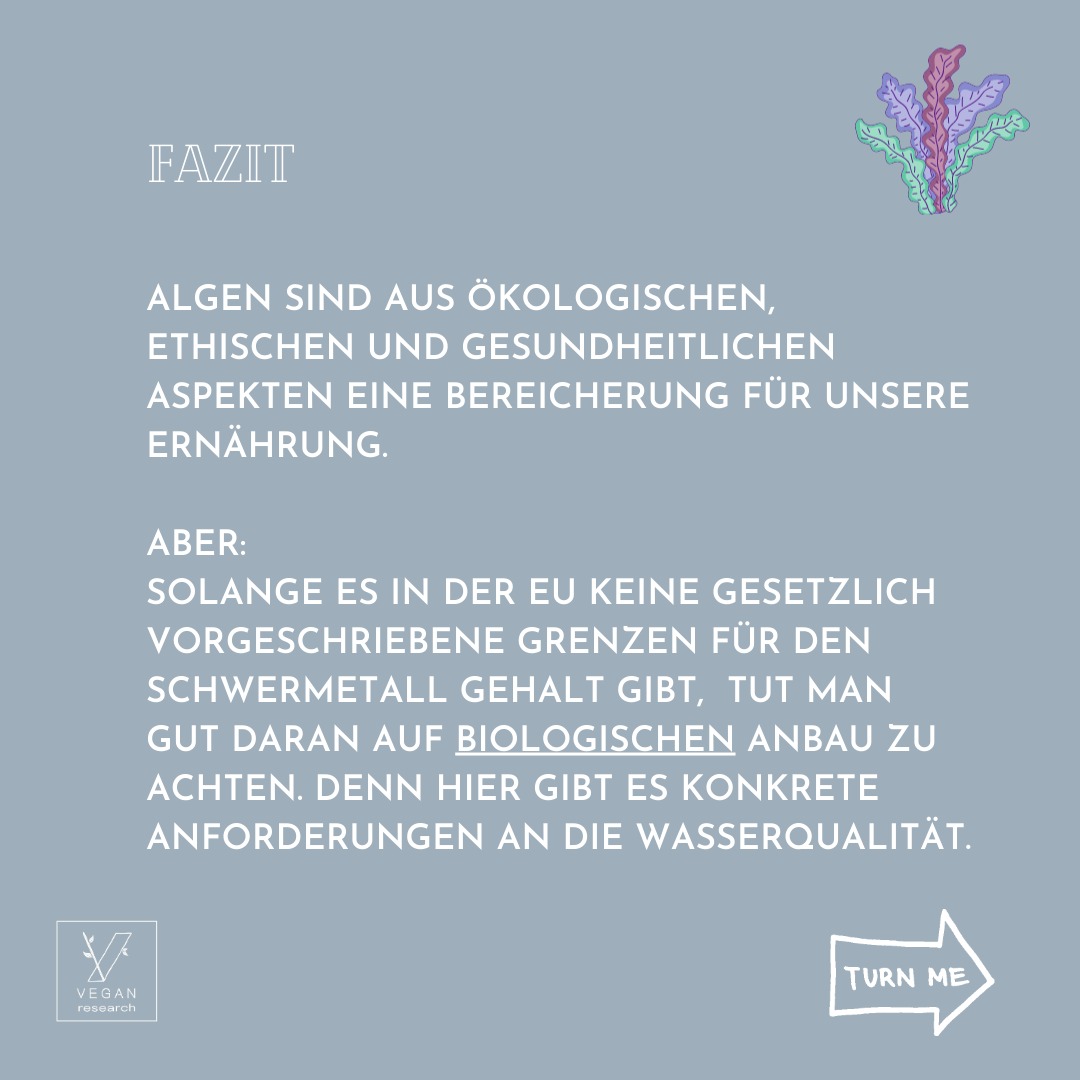 Algen 7